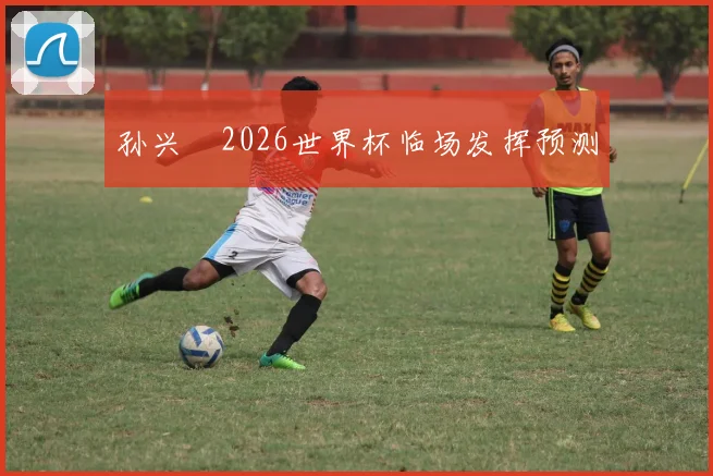 孙兴慜2026世界杯临场发挥预测