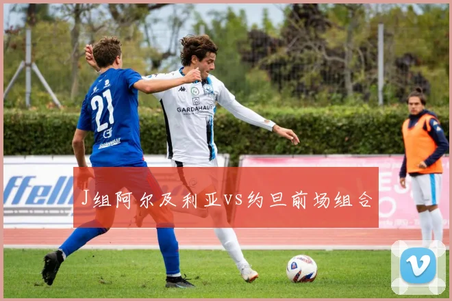 J组阿尔及利亚vs约旦前场组合