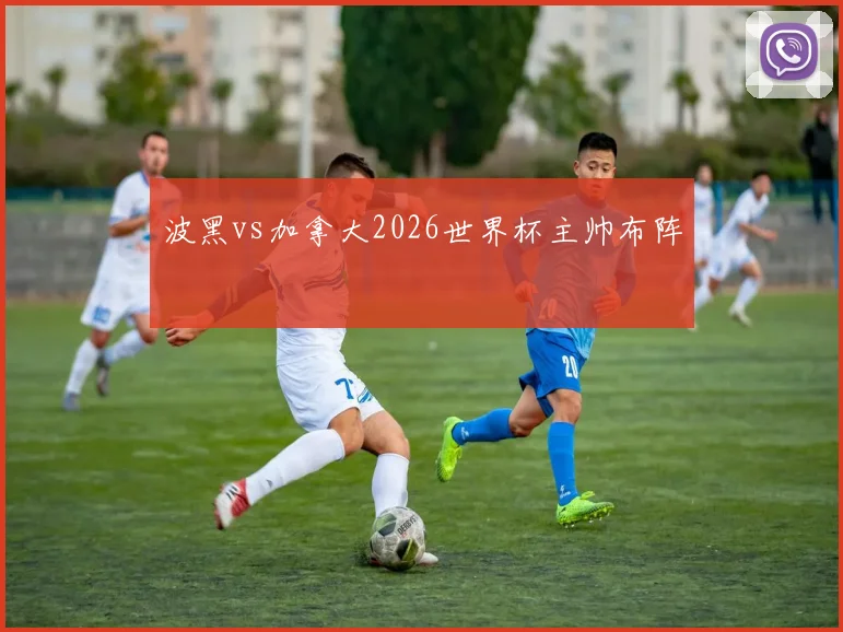 波黑vs加拿大2026世界杯主帅布阵