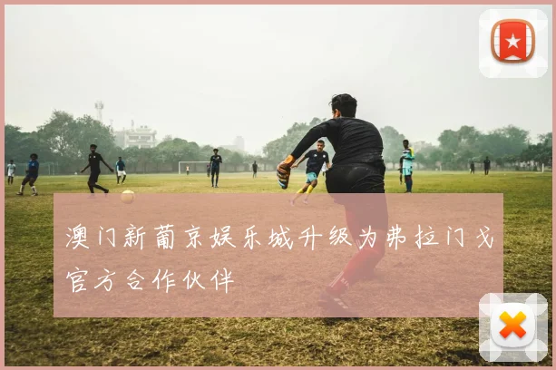 澳门新葡京娱乐城升级为弗拉门戈官方合作伙伴